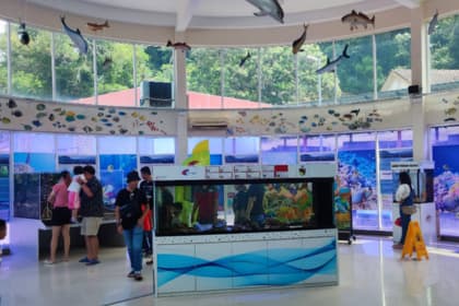 Port Dickson Ornamental Fish Centre